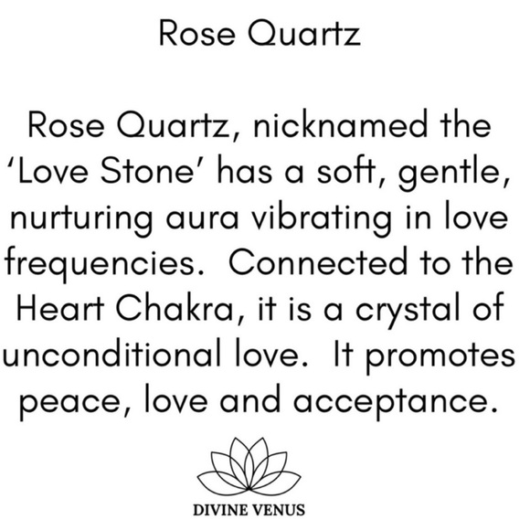 Rose Quartz Stainless Steel Necklace - Picture 8 of 8